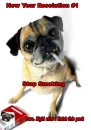 Stop Smoking, Pug