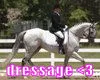 dressage