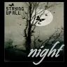 Night