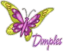 Dimples