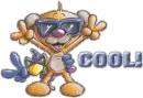 COOL TEDDY
