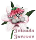 teddy flower ff