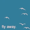 fly away