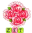Blinkie- Zet (roses)
