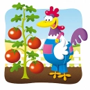 Tomato