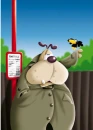 dog