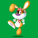 pirate bunny
