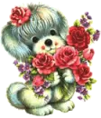 red roses