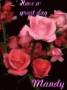 Roses-Mandy