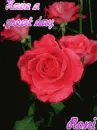 Rose-Roni