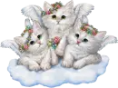 fluffy angels
