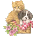 2 in a basket
