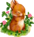 baby bunny