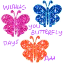 wishing you butterfly days