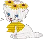kitty