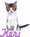 Cat-Keri