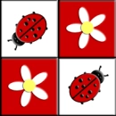 Ladybugs & Daisies