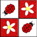 Ladybugs & Daisies