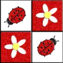 Ladybugs & Daisies