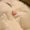 pffff...