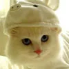 cuteee