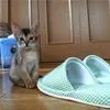big slippers