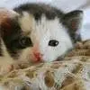 cuteee