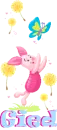 Gied