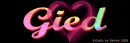 Gied