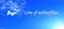 Love of Butterflies