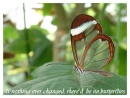 If Nothing Ever Changed, There'd Be No Butterflies