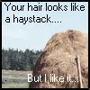 Twilight Haystack