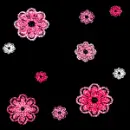 Pink Flowers on Black