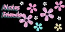 Color Dasies - Contact Table
