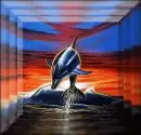 dolphin