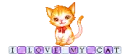Blinkie- I Love My Cat