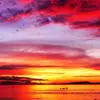 beautiful sunset
