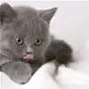 cuteee