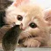 hi!...swetty