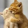 hug&kiss