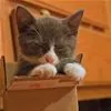 in box