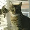 maxi&mini