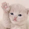 bye-bye