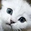 cuteee
