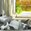 good napping