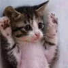 give up