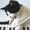 a song for you