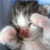 don't wake me