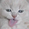 cuteee