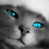 blue eyes